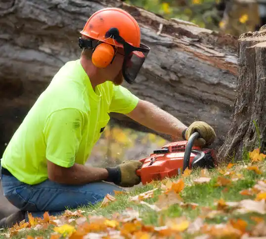 tree services Greentown